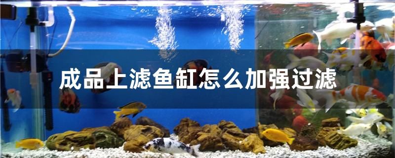 成品上濾魚缸怎么加強過濾