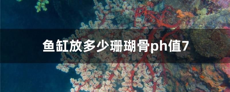 魚缸放多少珊瑚骨ph值7 狗狗（犬）