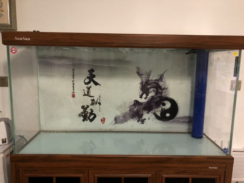 江門魚缸安裝師傅電話多少?。ńT魚具批發(fā)市場） 祥龍水族濾材/器材