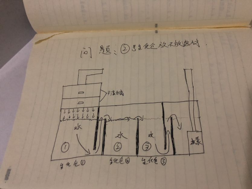 魚缸底濾問題求解 觀賞魚論壇 第1張