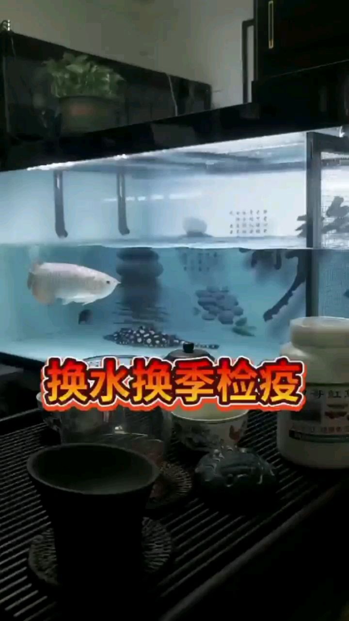 換季檢疫 觀賞魚論壇 第1張