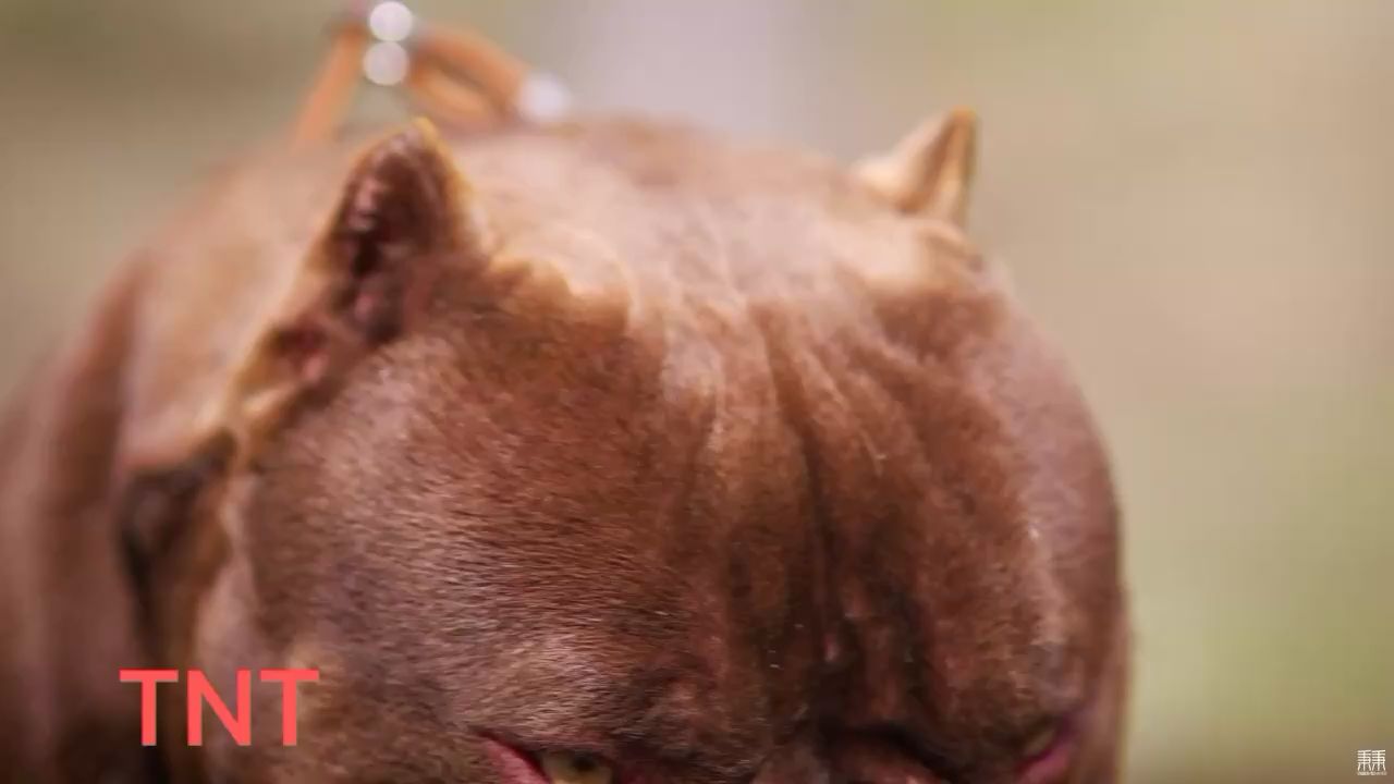 帥氣的男孩 獨特的眼神 觀賞魚論壇