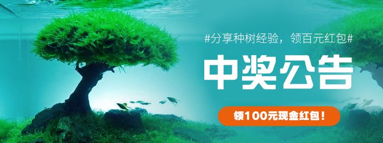 話題活動(dòng)，百元紅包中獎(jiǎng)公告！ 觀賞魚論壇