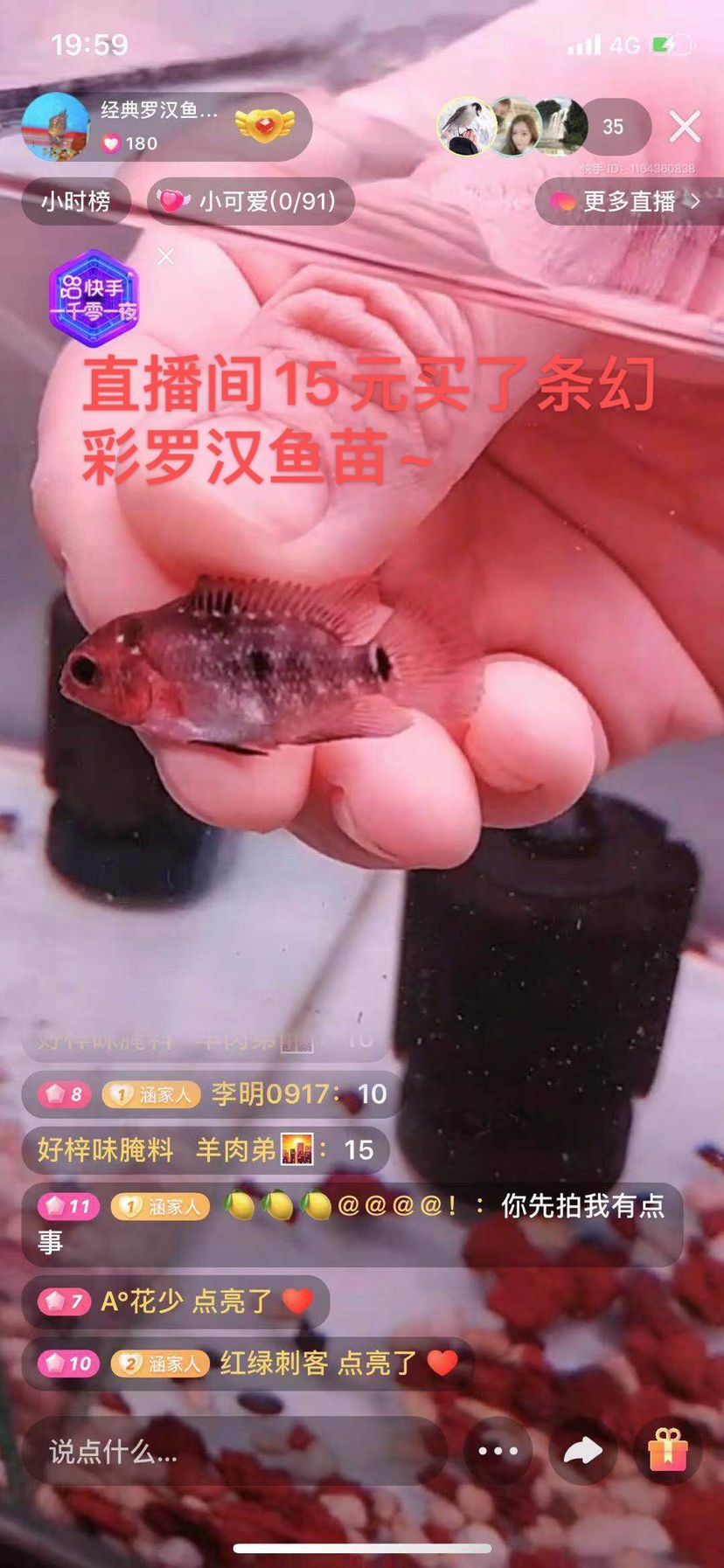 幻彩苗子成長記 觀賞魚論壇 第1張