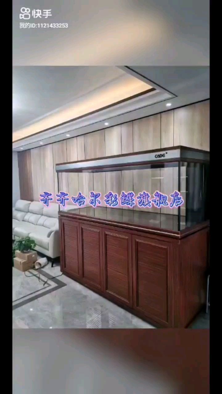 彩鰈魚缸展示 觀賞魚論壇