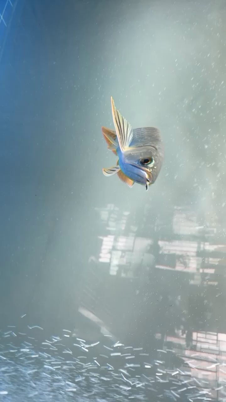 魚缸換水兩天后水渾濁怎么回事（魚缸全部換水后第二天又混了） 孵化器