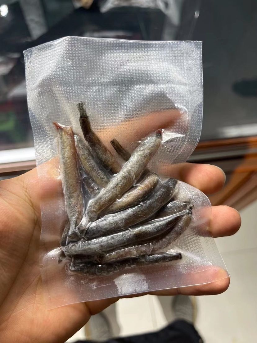 精裝版銘龍魚糧全面上線， 觀賞魚論壇 第2張