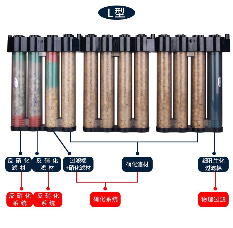 小缸也快樂(lè) 觀賞魚(yú)論壇 第7張