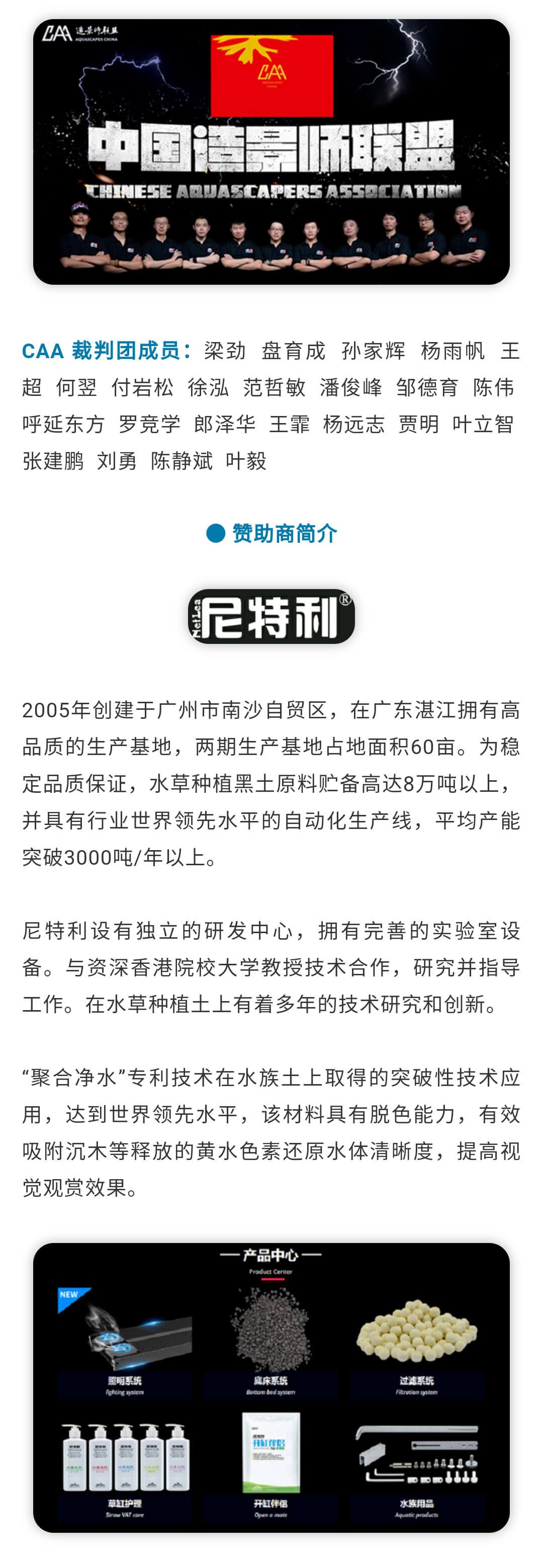 尋找民間造景達(dá)人 | 最佳創(chuàng)意 評委點評 觀賞魚論壇 第7張