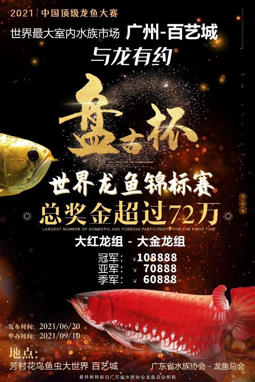 看看有料到么 觀賞魚論壇 第3張