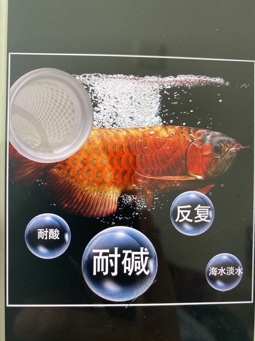 3d過濾袋 海水淡水通用 觀賞魚論壇 第2張