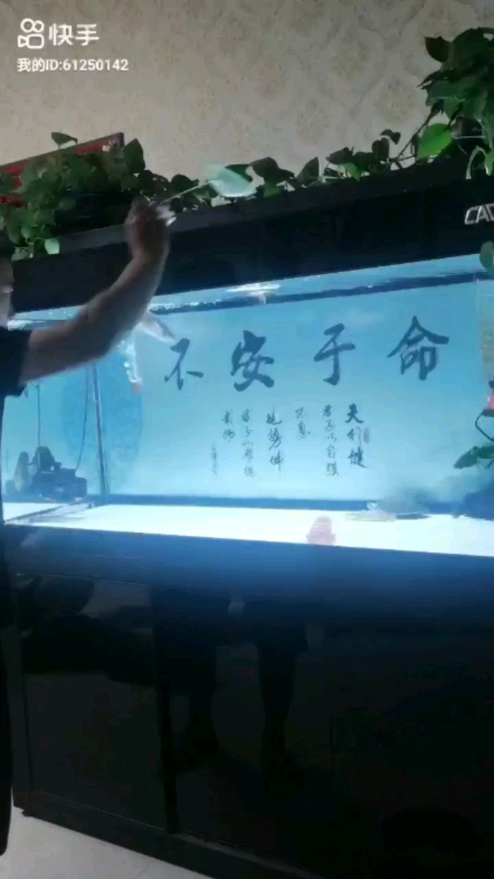 通貨，這個(gè)狀態(tài)也是喜歡 觀賞魚論壇