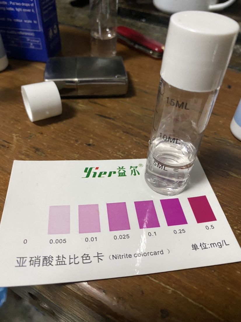 水質(zhì)理想，從今天開(kāi)始嘗試只加水不換水 觀賞魚(yú)論壇 第2張