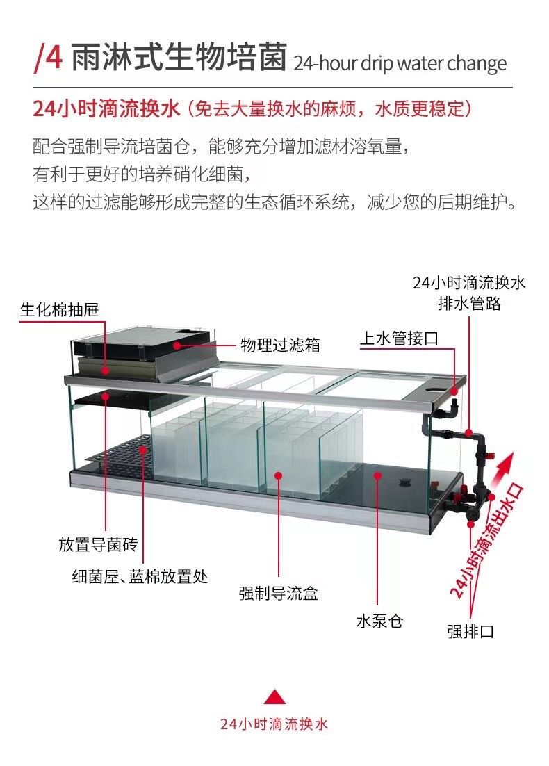 彩蝶人氣明星魚缸 觀賞魚論壇 第5張