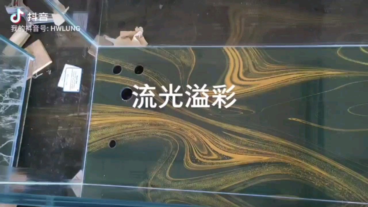 水族箱底圖 觀賞魚論壇