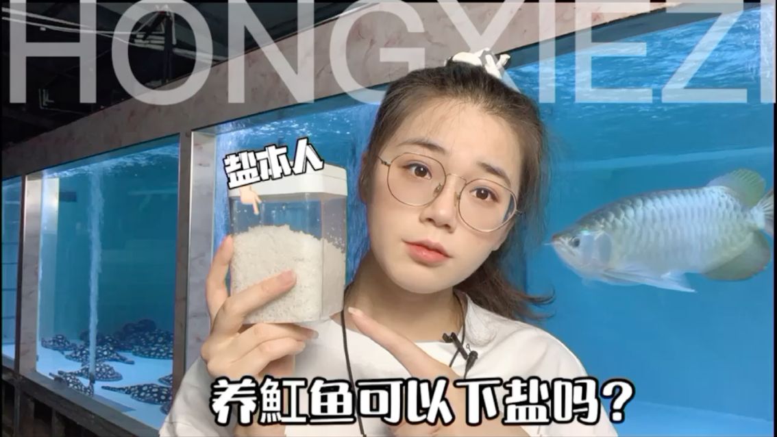 養(yǎng)魟魚可以下鹽嗎？ 觀賞魚論壇 第1張