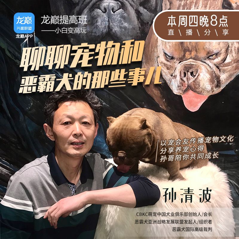 孫哥陪你聊聊寵物和惡霸犬的那些事兒 觀賞魚論壇 第1張