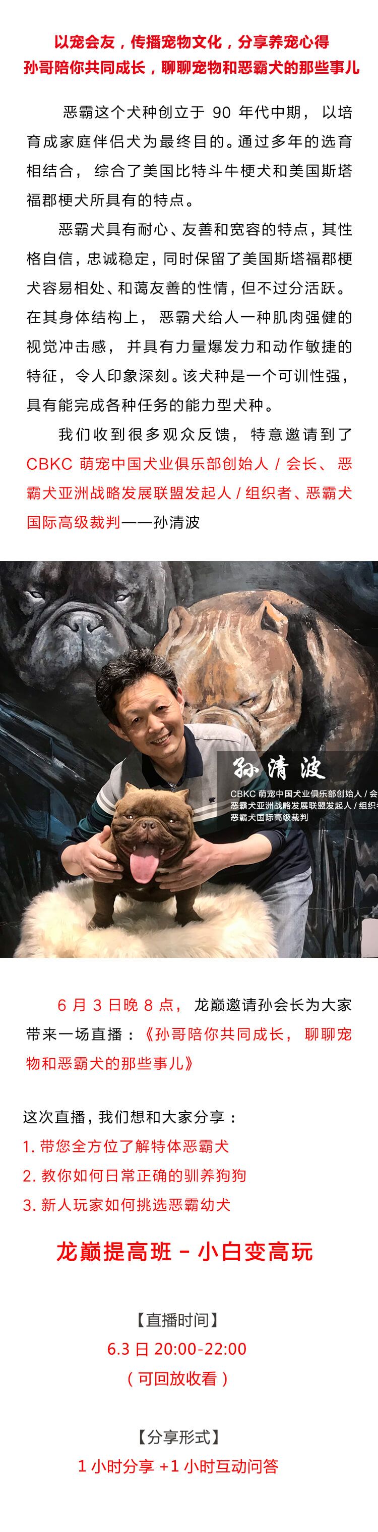 孫哥陪你聊聊寵物和惡霸犬的那些事兒 觀賞魚論壇 第2張