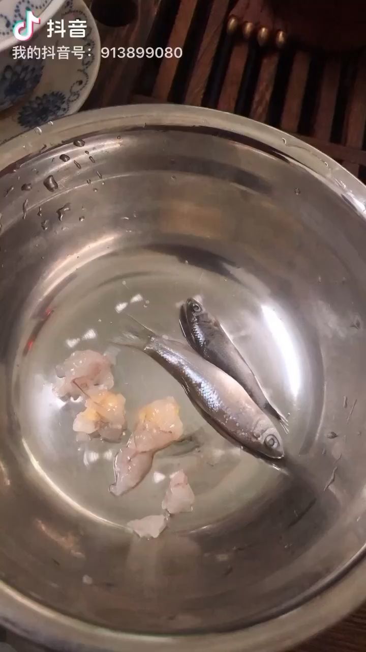 瘋狗覓食 觀賞魚論壇