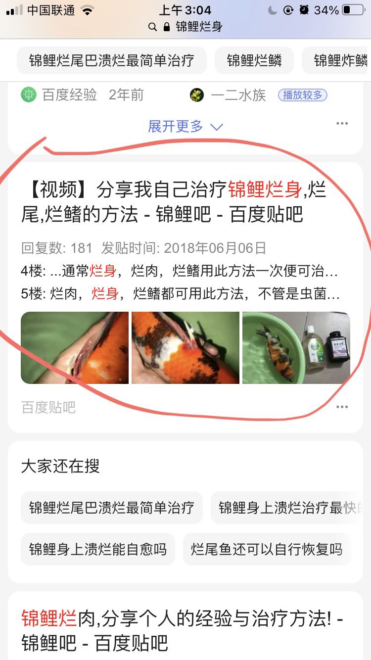 錦鯉爛身 錦鯉爛嘴 錦鯉爛鰭 觀賞魚論壇 第1張