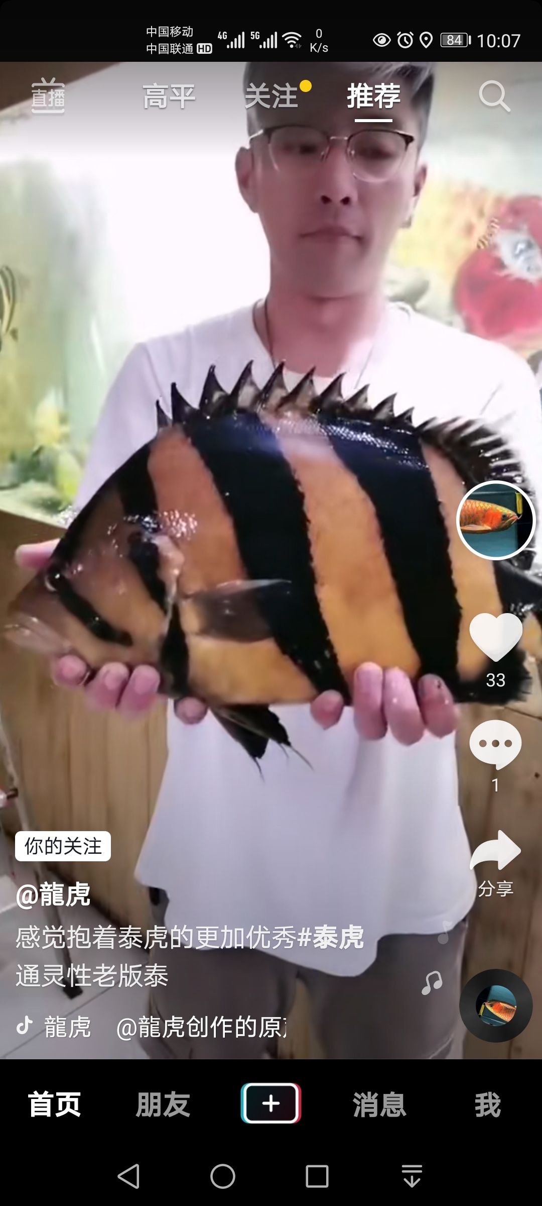 什么時(shí)候我也能擁有呢？ 觀賞魚論壇 第2張