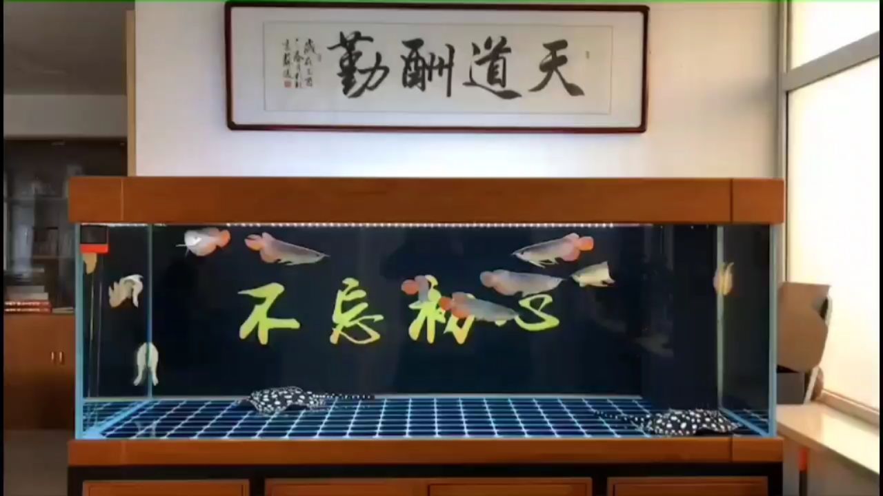 不忘初心魚缸背景圖上缸回圖 觀賞魚論壇