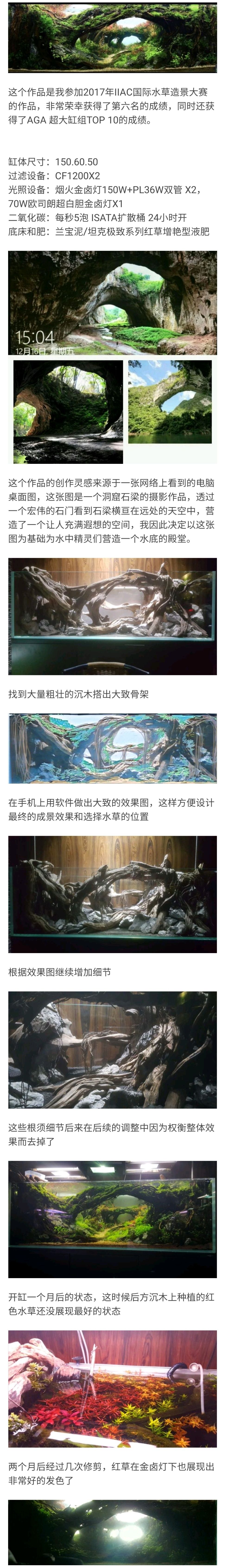 精靈的殿堂 觀賞魚論壇