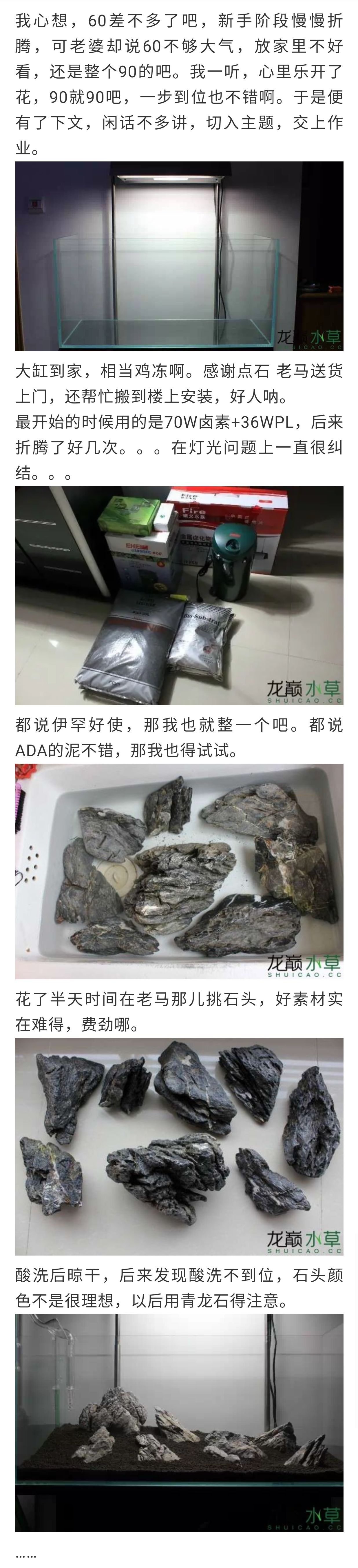 玩家小缸案例，開缸教程分享 觀賞魚論壇