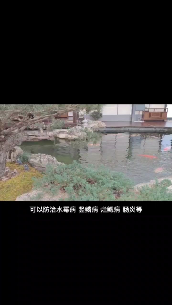 下鹽竟然是這么回事 觀賞魚(yú)論壇