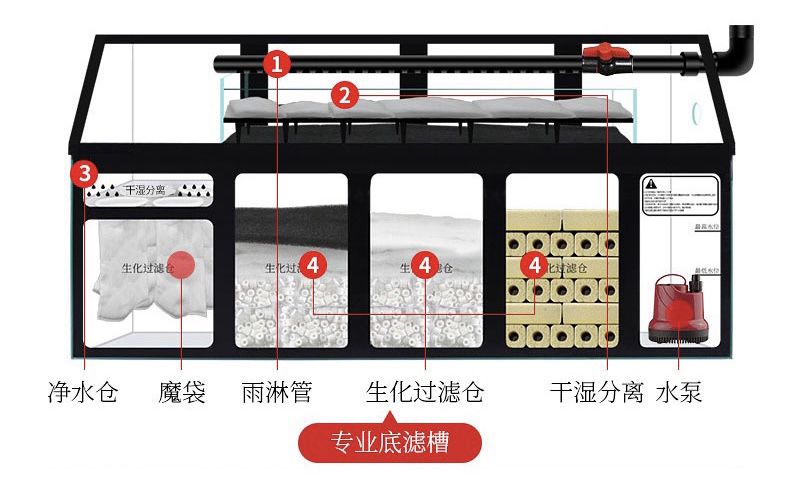 魚缸過濾不干凈 觀賞魚論壇