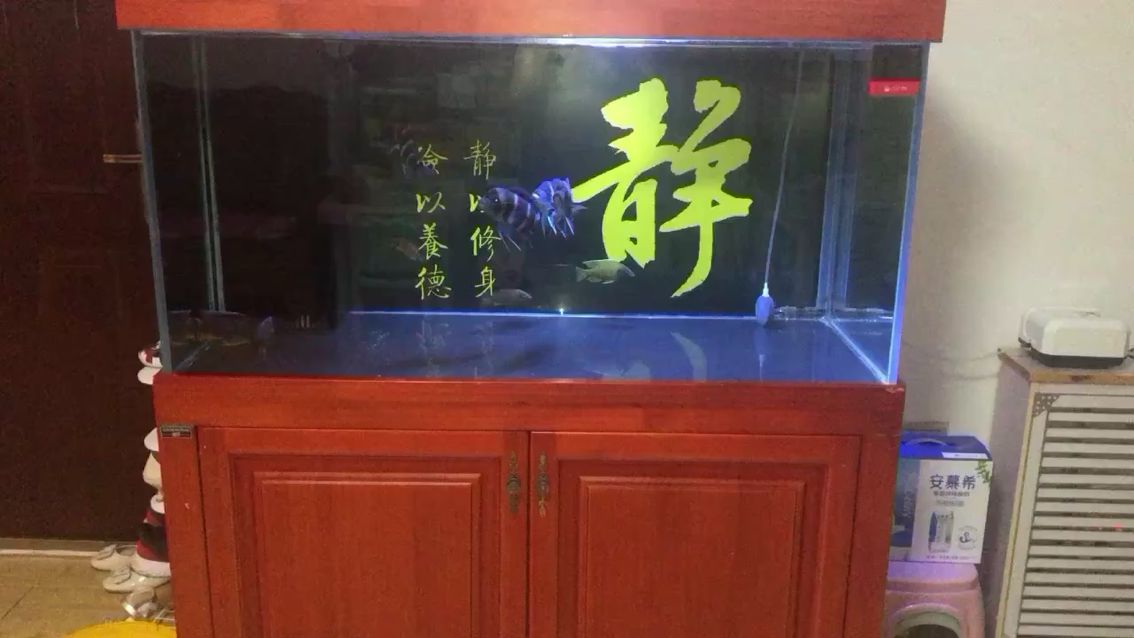 小魚搬新家了 觀賞魚論壇