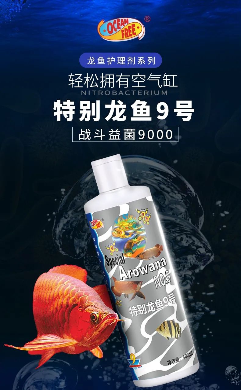 傲深龍魚護(hù)理組合，幫你解決各種龍魚問題 觀賞魚論壇 第4張