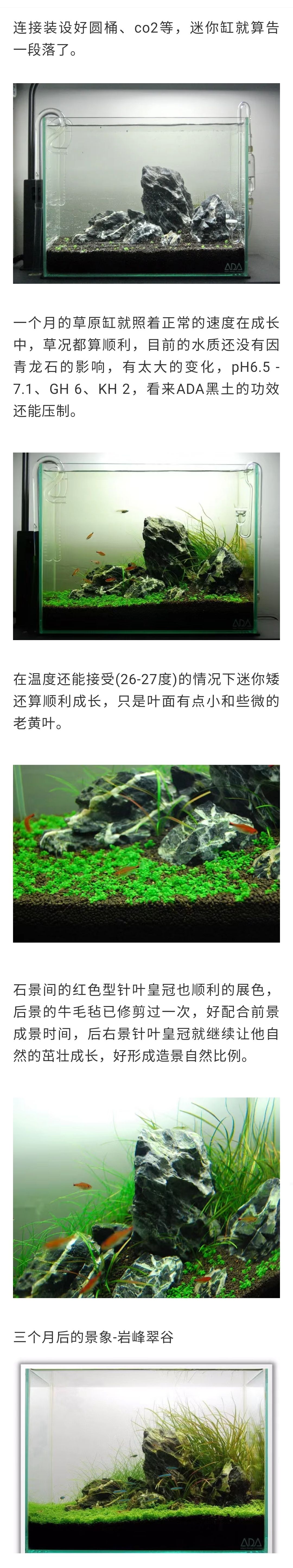 三角形草原風(fēng)格水草造景全過程詳解 觀賞魚論壇 第2張