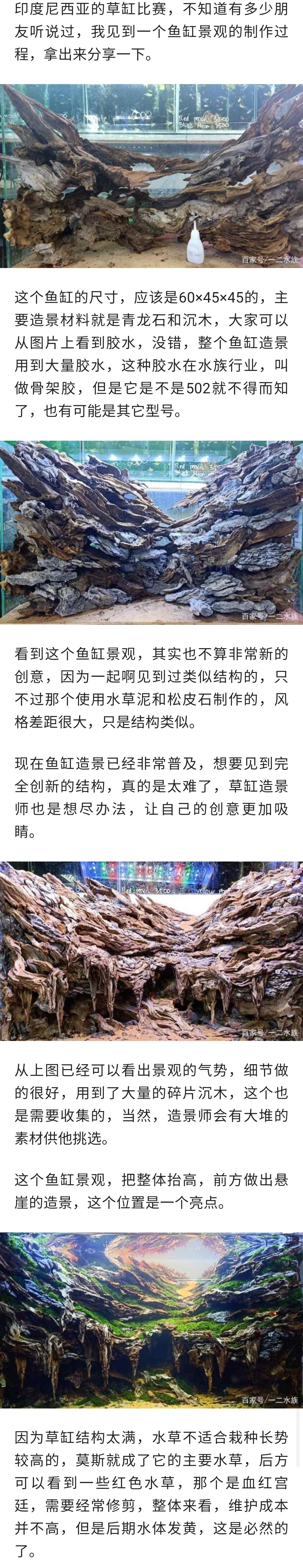 草缸造景，要的就是創(chuàng)意 觀賞魚論壇