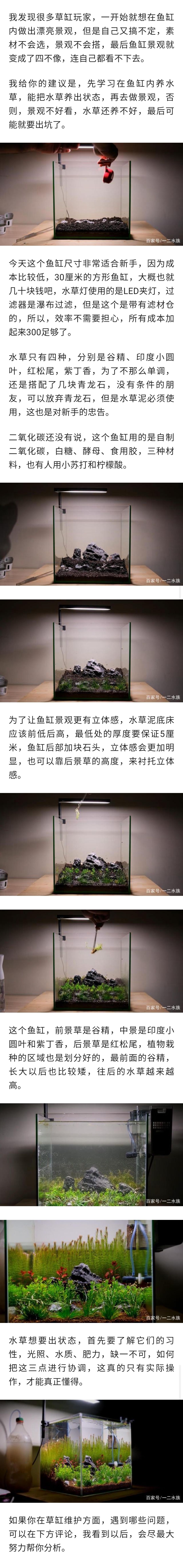 30厘米魚缸造景 觀賞魚論壇