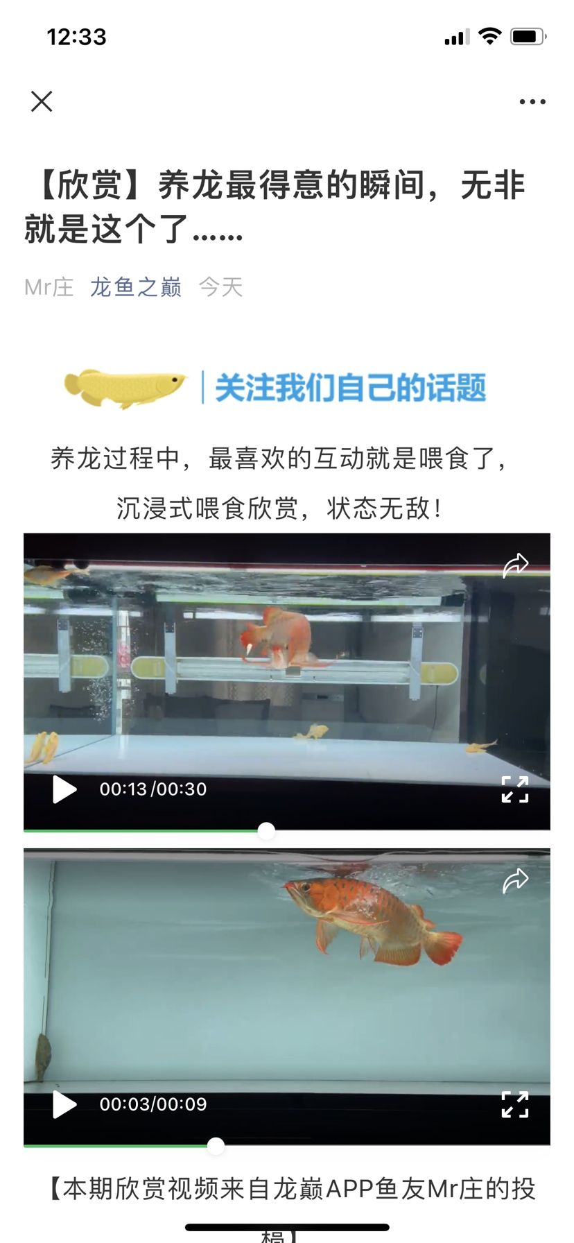 感謝龍巔小助手分享我的愛龍 觀賞魚論壇