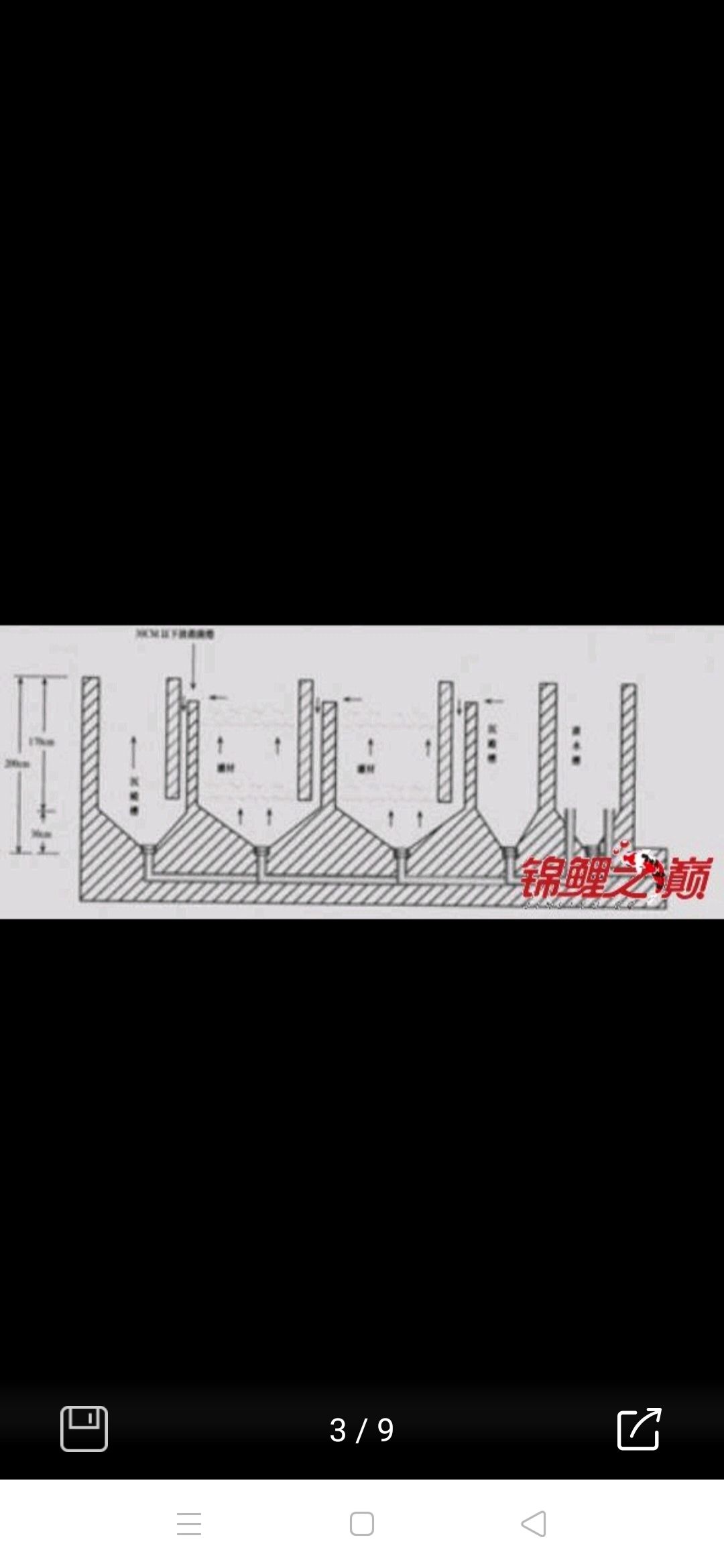 魚池建造 觀賞魚論壇 第1張