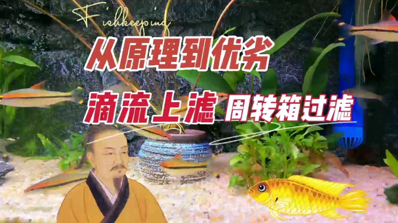 魚缸滴流上濾周轉(zhuǎn)箱過濾 觀賞魚論壇