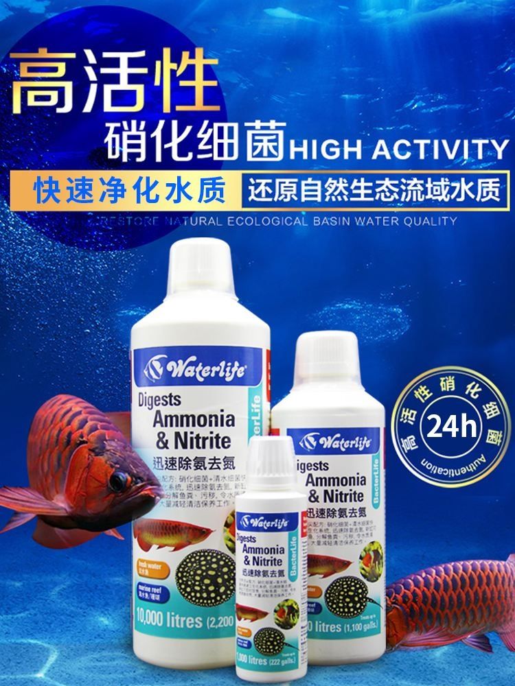 魚缸水體發(fā)黑（魚缸的水變黑怎么辦） 觀賞魚