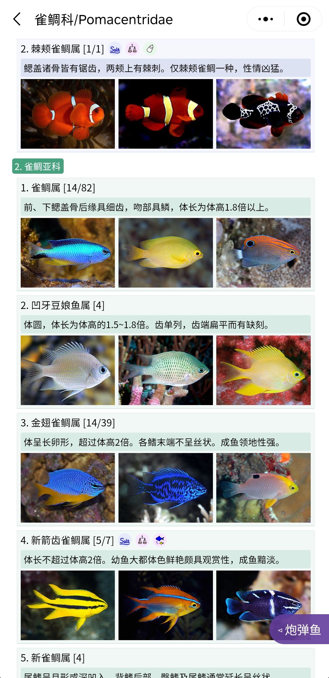 推薦一個好用的海水魚圖鑒《水族名錄》 觀賞魚論壇 第2張