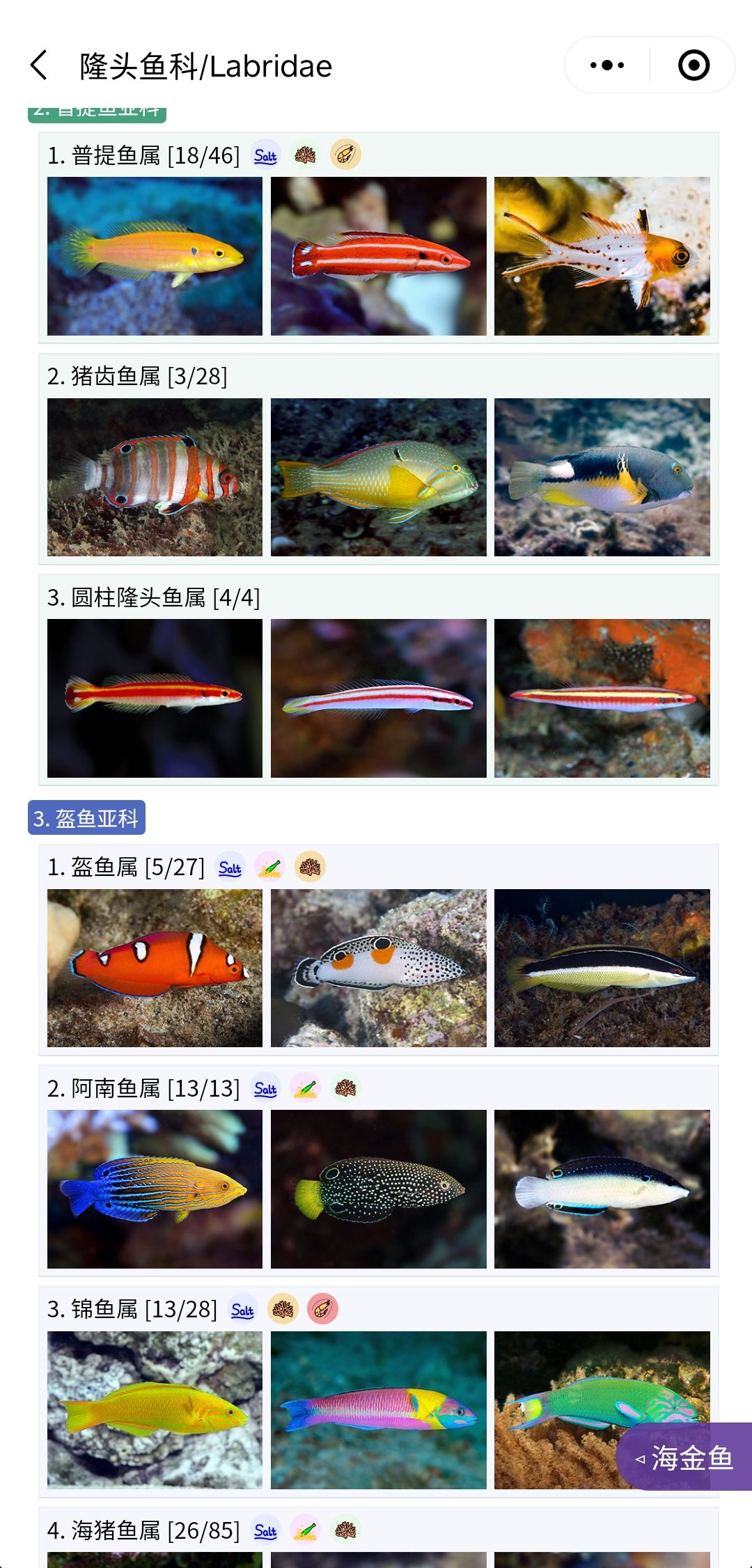 推薦一個好用的海水魚圖鑒《水族名錄》 觀賞魚論壇 第4張