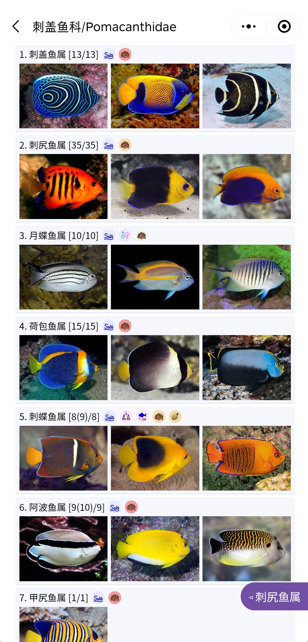 推薦一個好用的海水魚圖鑒《水族名錄》 觀賞魚論壇 第3張