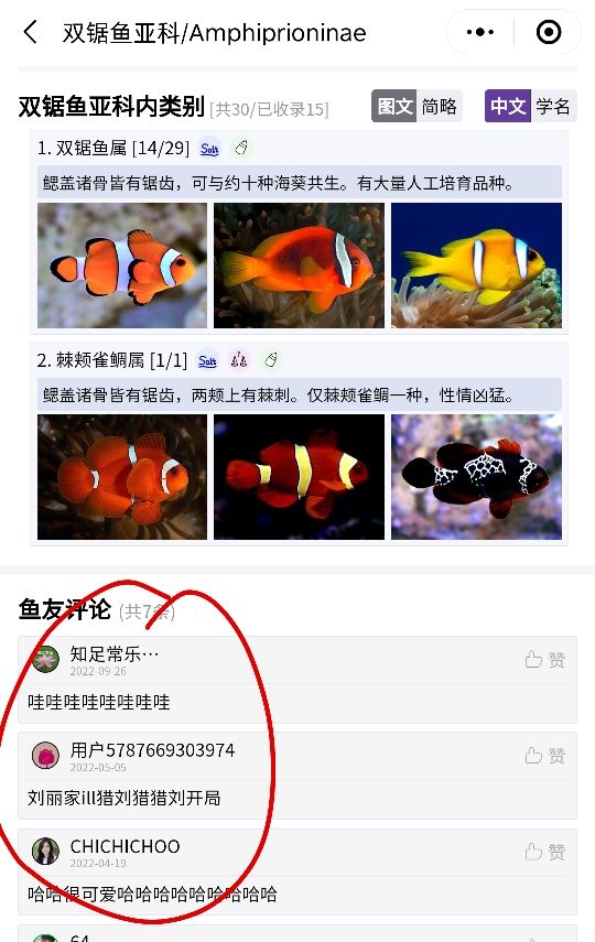 推薦一個好用的海水魚圖鑒《水族名錄》 觀賞魚論壇 第5張