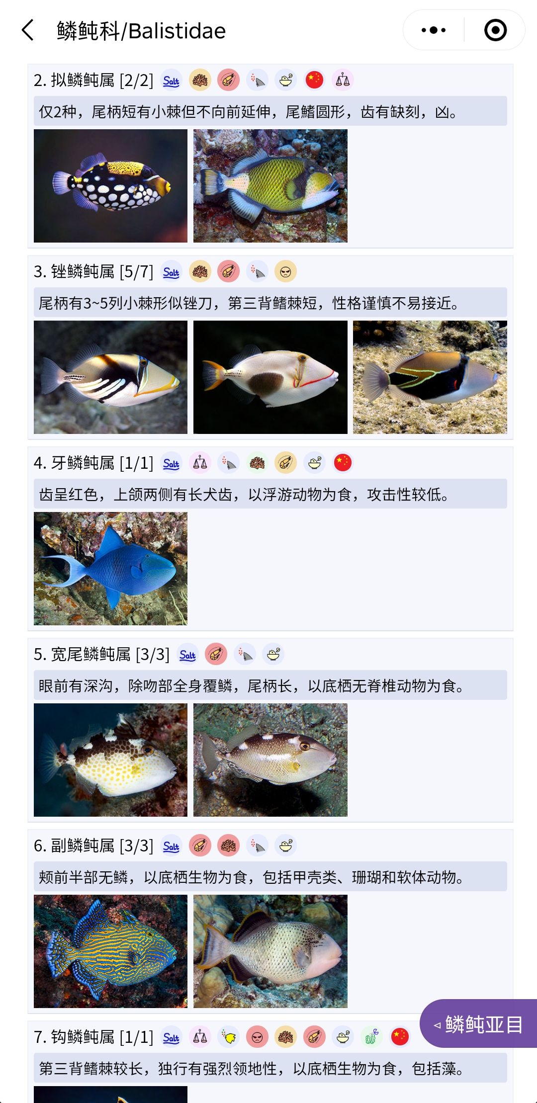 推薦一個好用的海水魚圖鑒《水族名錄》 觀賞魚論壇 第7張