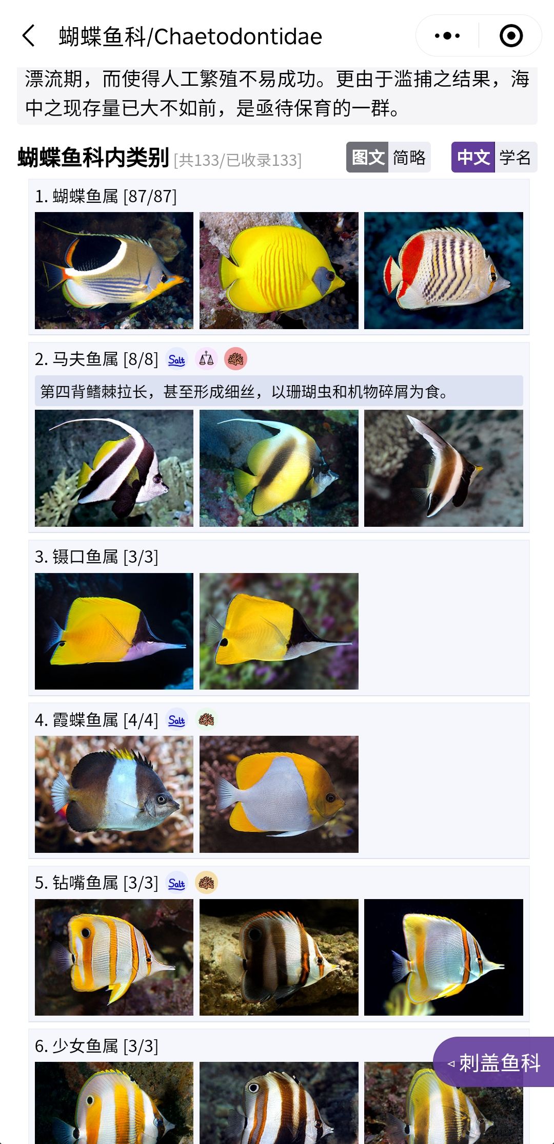 推薦一個好用的海水魚圖鑒《水族名錄》 觀賞魚論壇 第6張