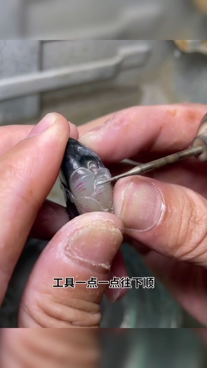 花瓣教程 觀賞魚(yú)論壇