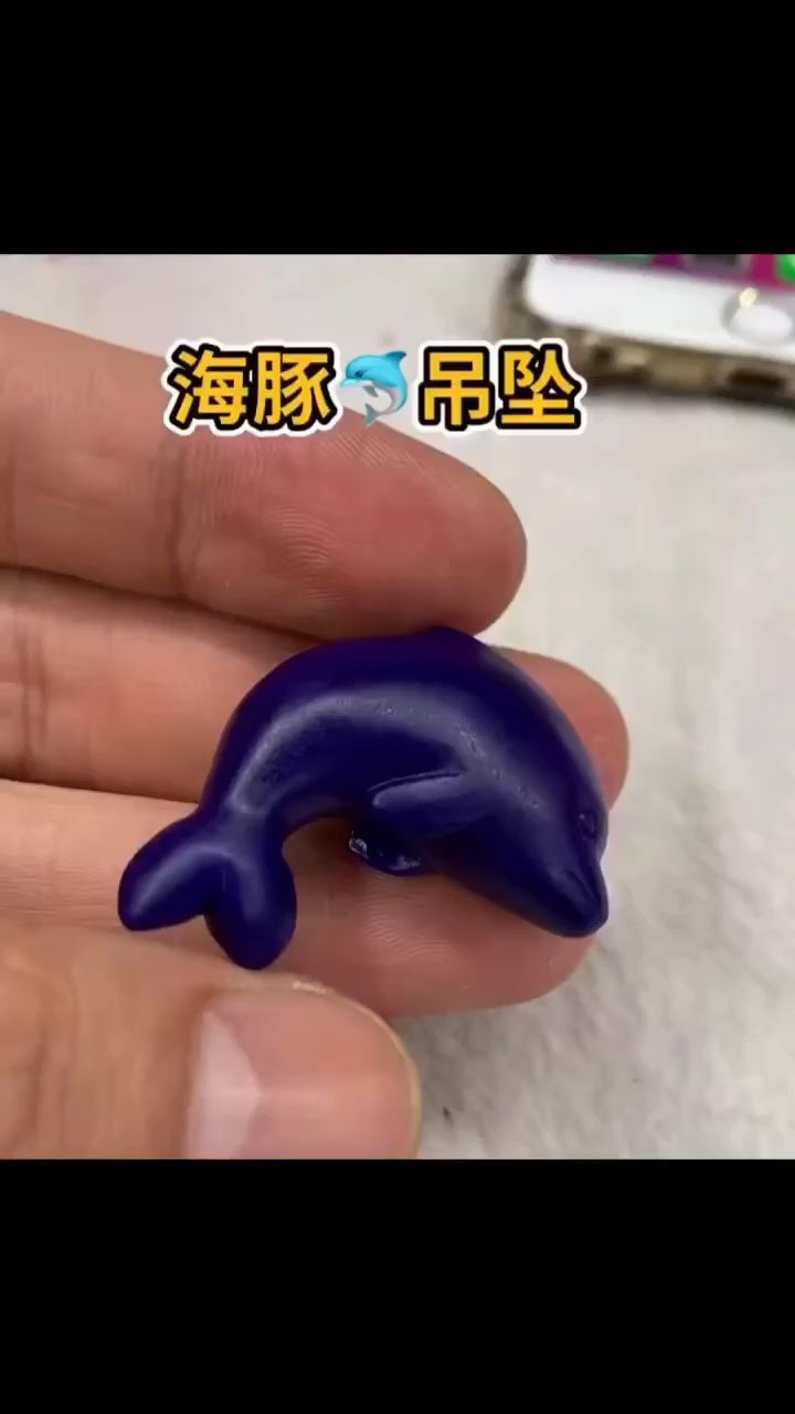 海豚 觀賞魚論壇