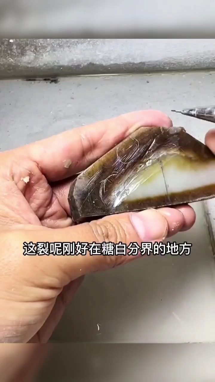 無(wú)相佛 觀賞魚(yú)論壇