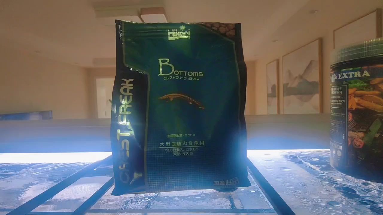 喂飼料省事多了 觀賞魚論壇