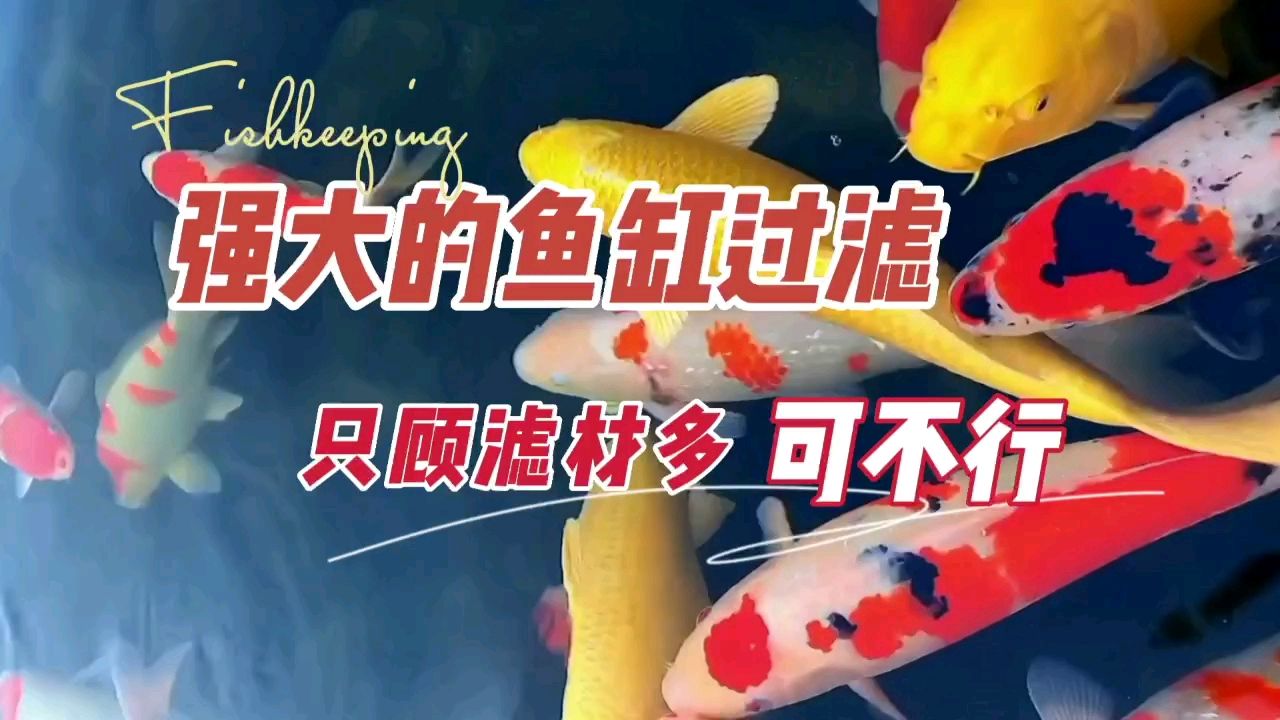 強(qiáng)大的魚缸過濾，只顧著濾材多，可不行 觀賞魚論壇